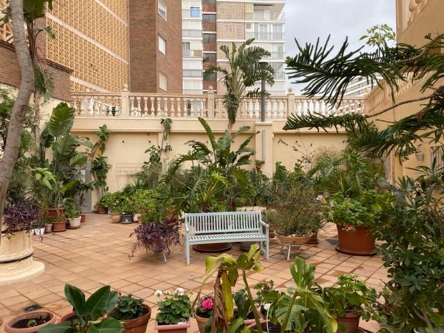 Precioso Apartamento A Estrenar En Primera Linea De Playa Benidorm Exteriér fotografie